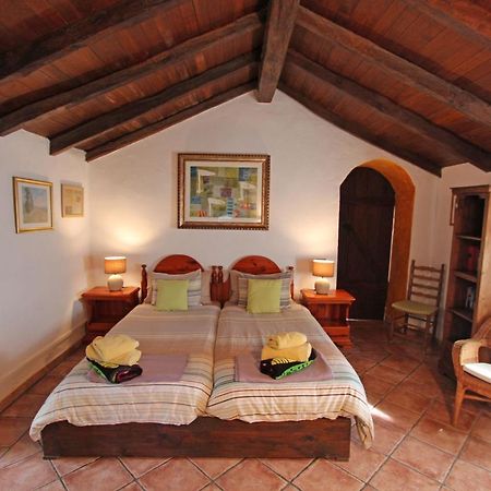 Vivatenerife - Estate With Idyllic Mountain Landscapes Техина-де-Исора Экстерьер фото